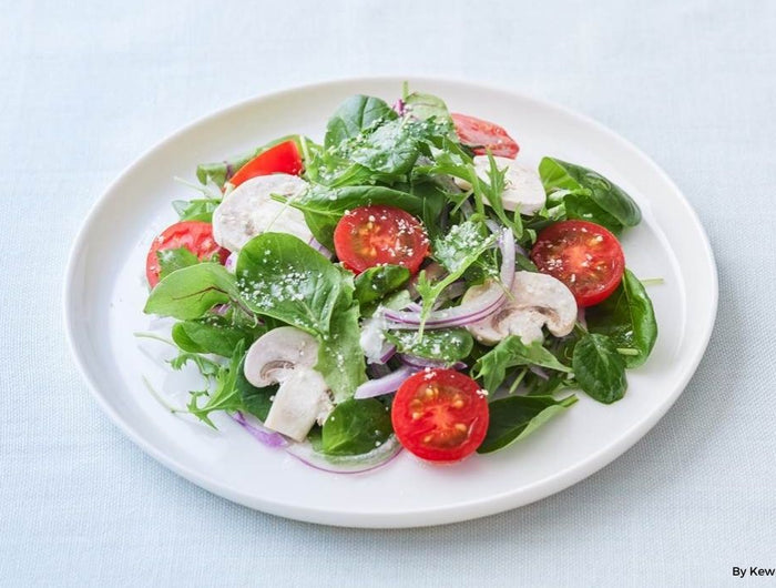 <h1>Baby Leaf and Mushroom Salad with Lemon Dressing</h1>