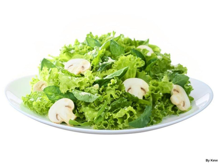 <h1>Spinach & Mushroom Salad with Parmesan</h1>
