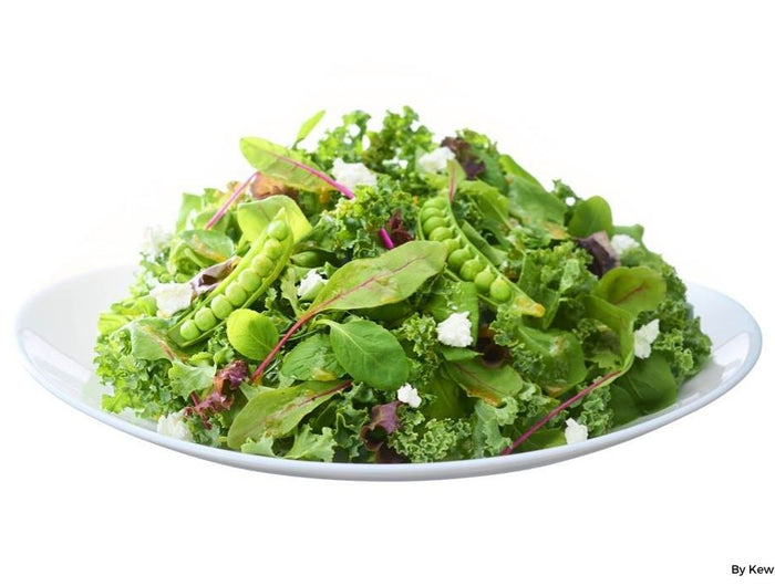 <h1>Kale, Snap Pea, and Cottage Cheese Salad</h1>